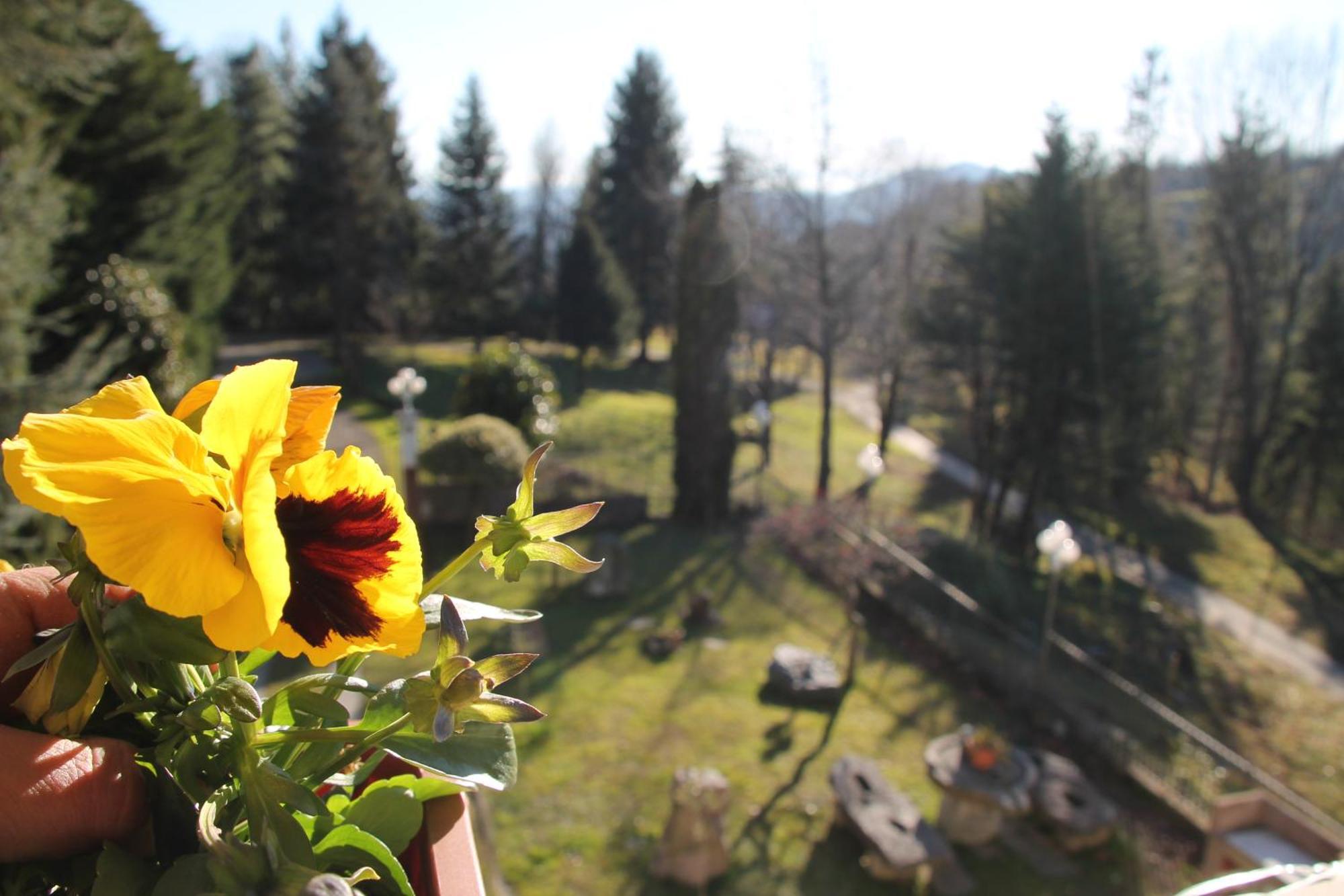 Bed and Breakfast Antica Dimora Del Portico Borgiallo Exterior foto